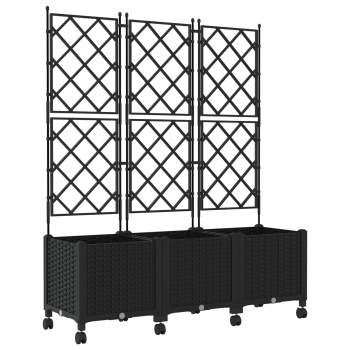 Preview: 3423077_2.jpg