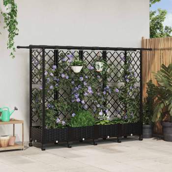 3423161_1.jpg