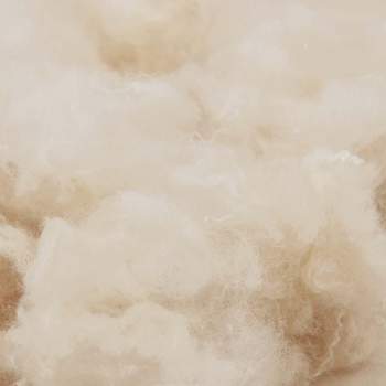 3431999_9.jpg
