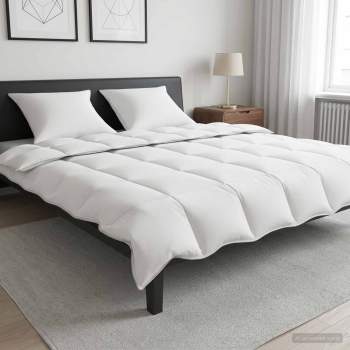 3432874_1.jpg
