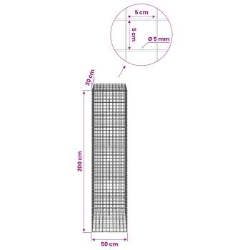 3464203_6.jpg
