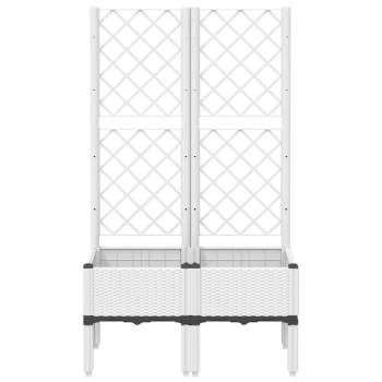 Preview: 367924_3.jpg