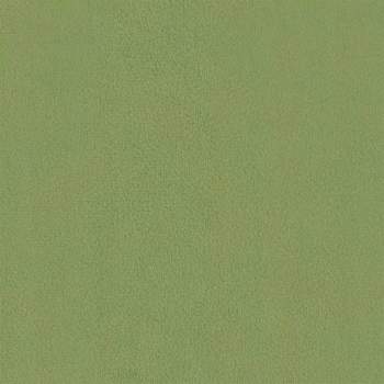 371800_10.jpg