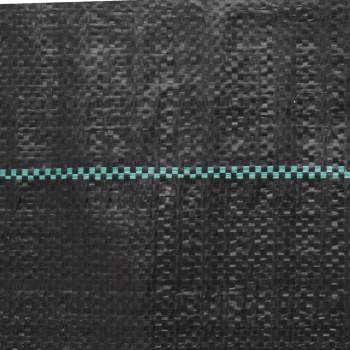 4005164_5.jpg