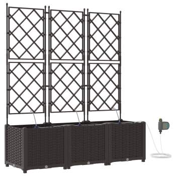 Preview: 42002830_2.png