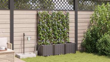 Preview: 42002830_4.png