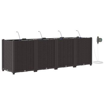 Preview: 42002834_2.png