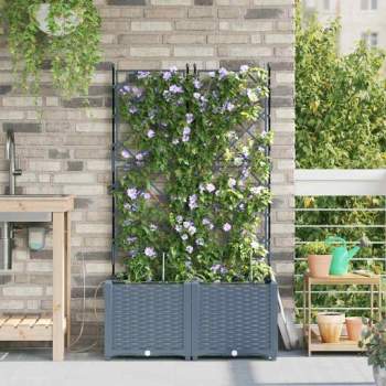 Preview: 42002897_3.jpg