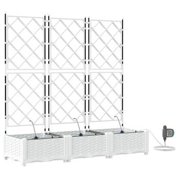 Preview: 42002920_2.jpg