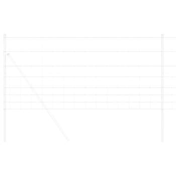 Preview: 42005777_3.jpg