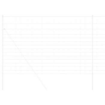 Preview: 42005795_3.jpg