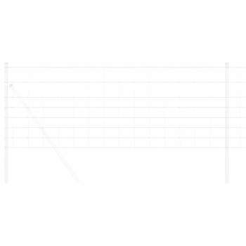 Preview: 42005803_3.jpg