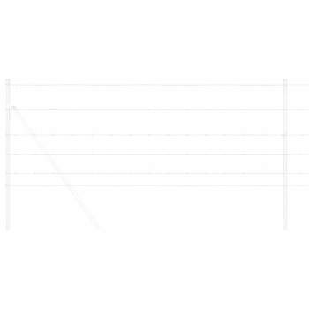 Preview: 42005857_3.jpg