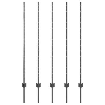 Preview: 42006284_2.jpg