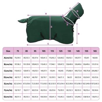 42013281_9.jpg