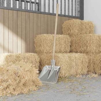 Preview: 42019401_4.jpg