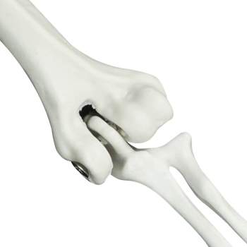 Preview: 42020047_5.jpg