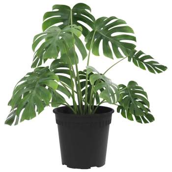 Preview: 42020278_3.jpg