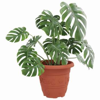 Preview: 42020290_3.jpg