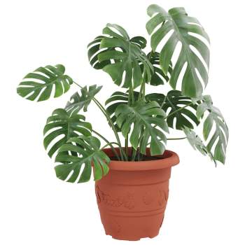 Preview: 42020291_3.jpg