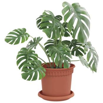 Preview: 42020300_3.jpg