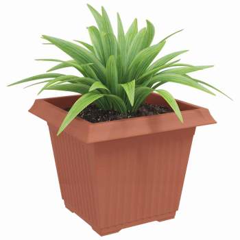 Preview: 42020333_3.jpg