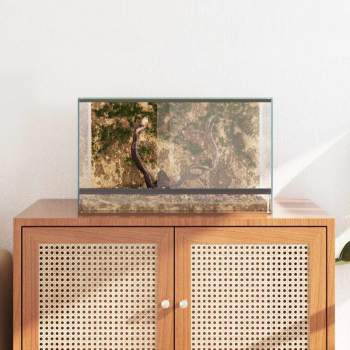 Preview: 42020390_4.jpg