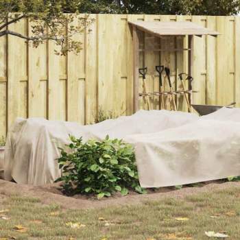 42021029_5.jpg