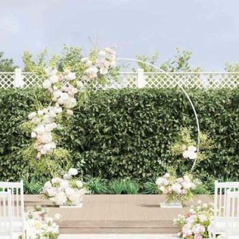 42023029_1.jpg