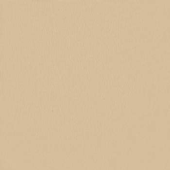 42024621_10.jpg