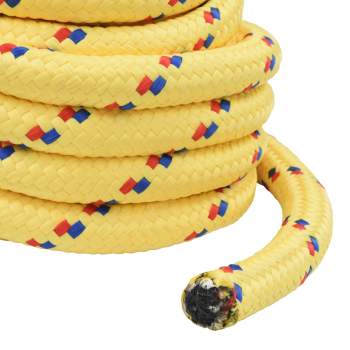 42029624_6.jpg