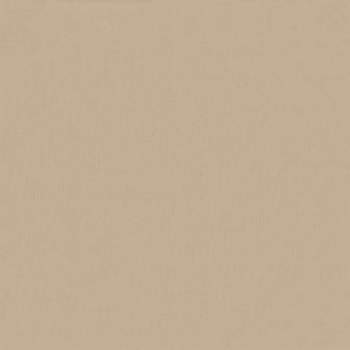 42031006_9.jpg