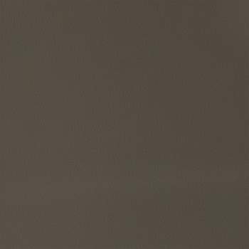 42031879_10.jpg