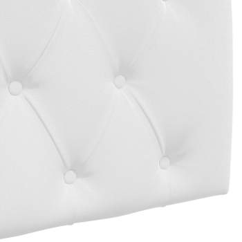 42032161_8.jpg
