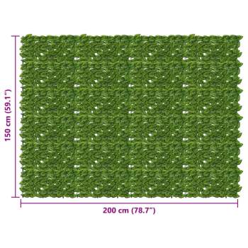 42040647_5.jpg