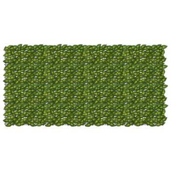 42040672_1.jpg