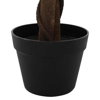 42042067_5.jpg
