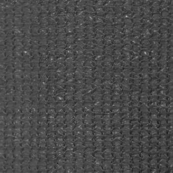 43482_5.jpg
