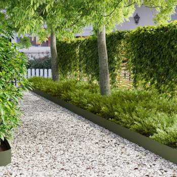 8008459_1.jpg