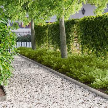 8008535_1.jpg