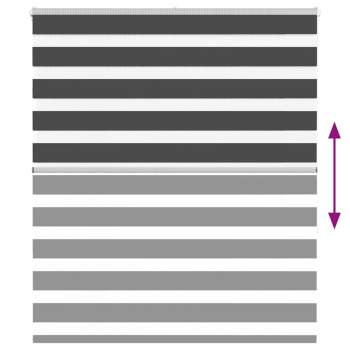 8721158345417_g_en_hd_4.jpg