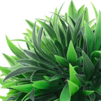 Preview: 8721158902719_g_en_hd_2.jpg