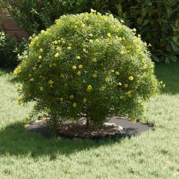 Preview: 873662_3.jpg