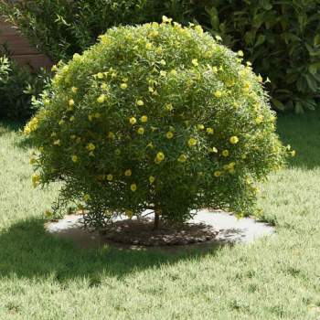 Preview: 873665_3.jpg