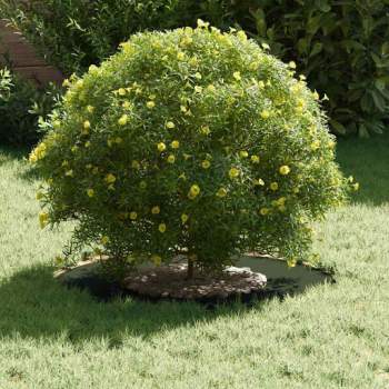 Preview: 873668_3.jpg