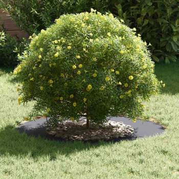 Preview: 873681_3.jpg