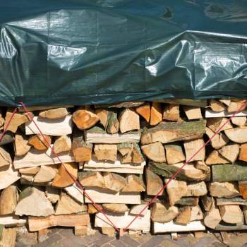 Nature Holzplane 2x8 m PE Grün 6072413