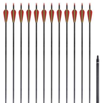 Standard Recurvebogen-Pfeile 30" 0,76 cm Karbon 12 Stück