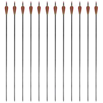 Preview: Standard Recurvebogen-Pfeile 30" 0,76 cm Karbon 12 Stück