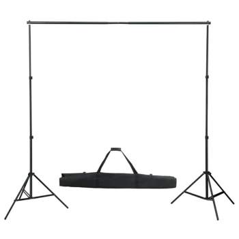  Fotostudio-Set mit Softboxen und Hintergrundsystem